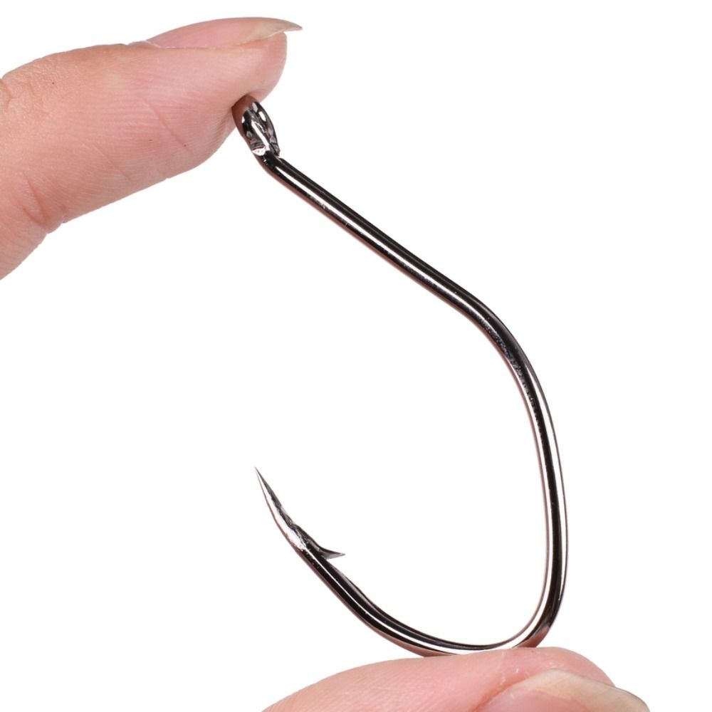 10 Stks/doos Weerhaken Meerval - Fishing Hook Circle recensie en prijs
