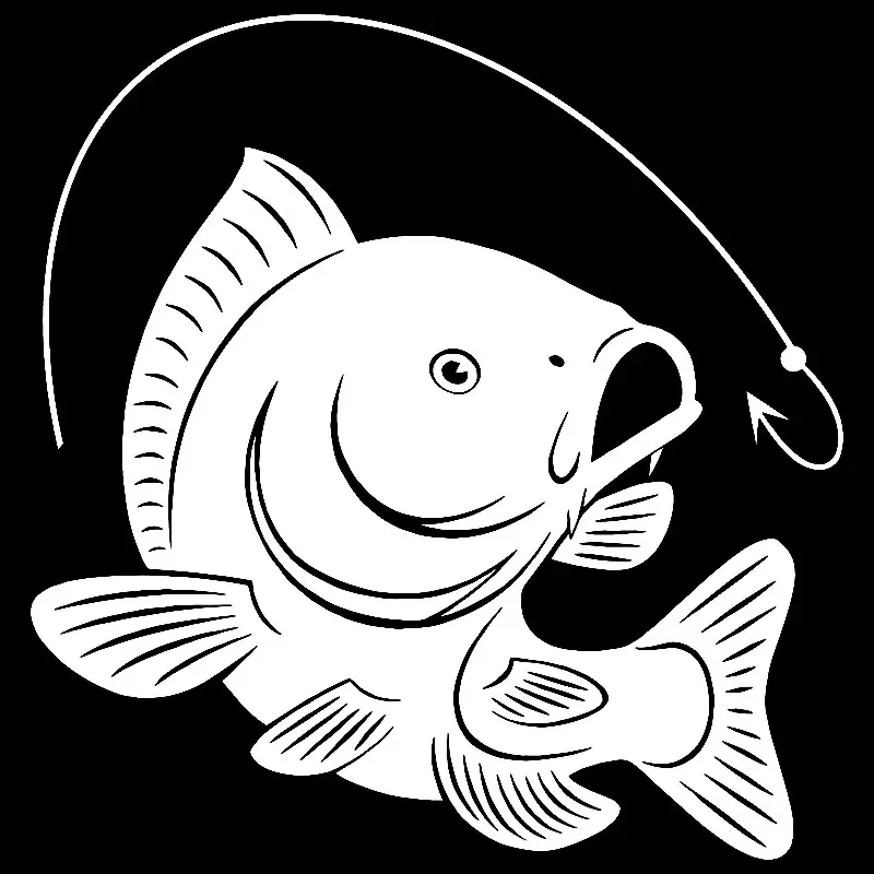 Karper Vissen Haak Decal Decor - Fishing Hook recensie en prijs